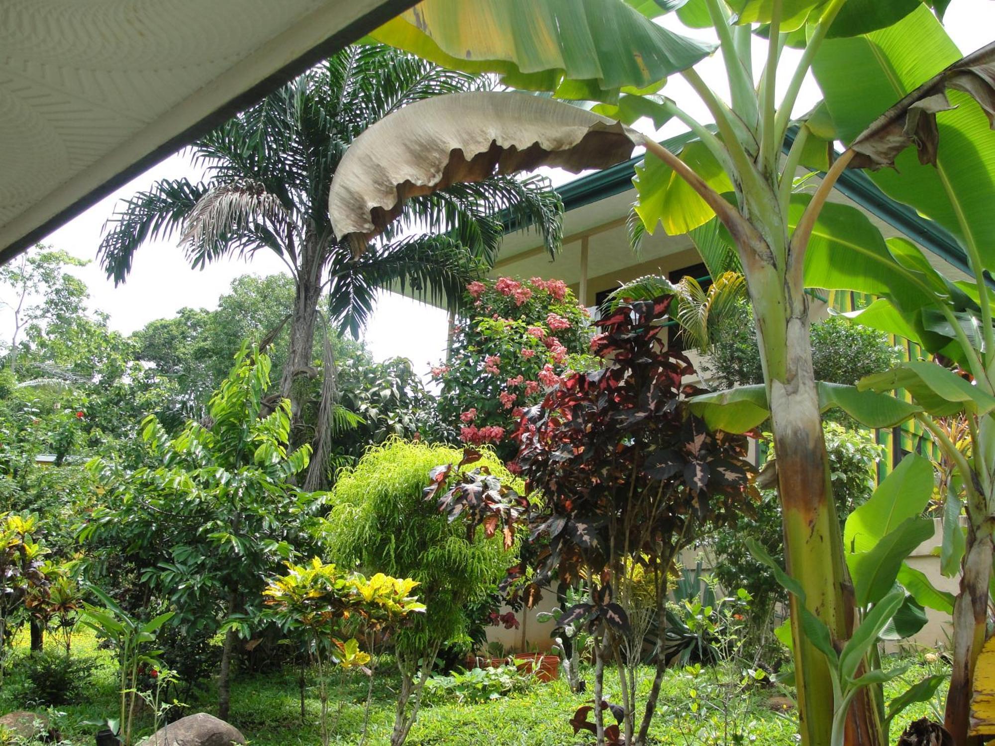 Big Bamboo De Uvita Hotel Exterior photo