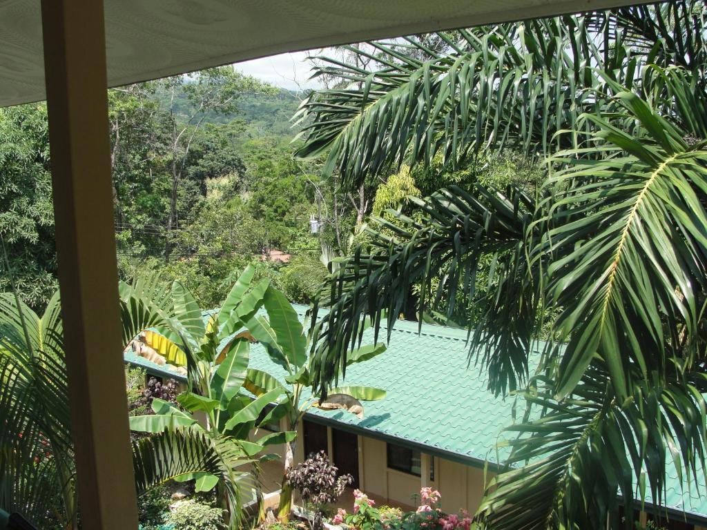 Big Bamboo De Uvita Room photo