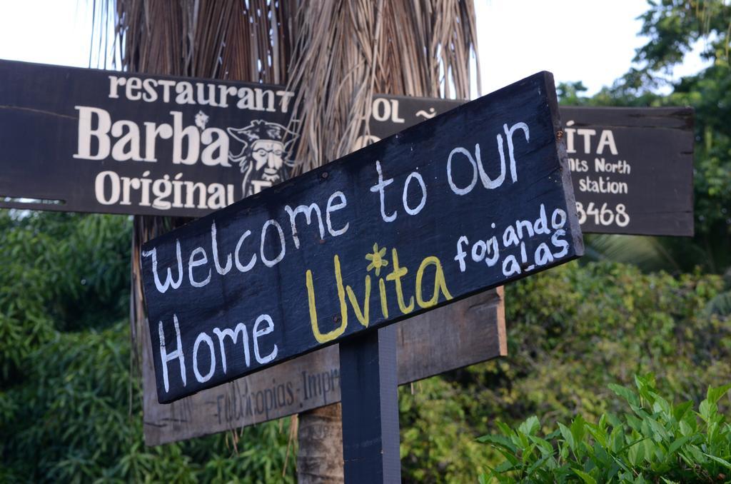 Big Bamboo De Uvita Hotel Exterior photo