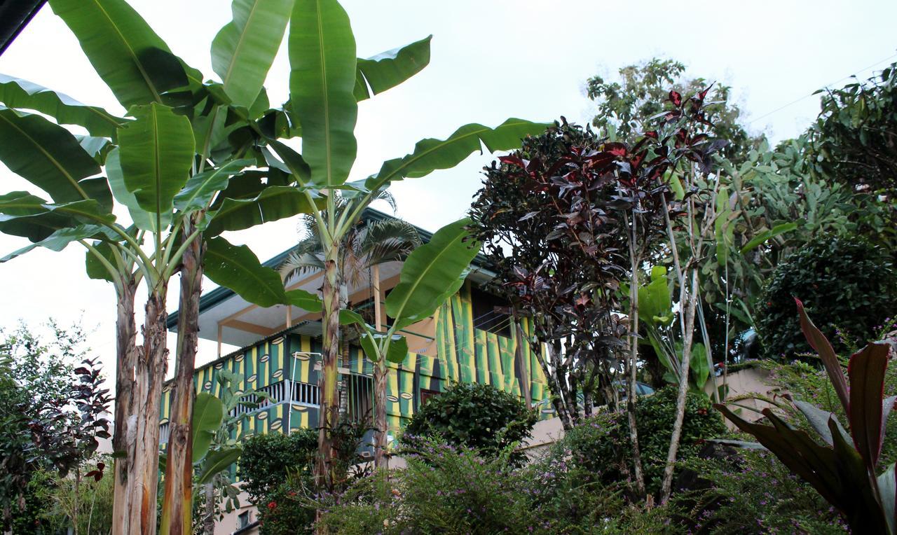 Big Bamboo De Uvita Hotel Exterior photo